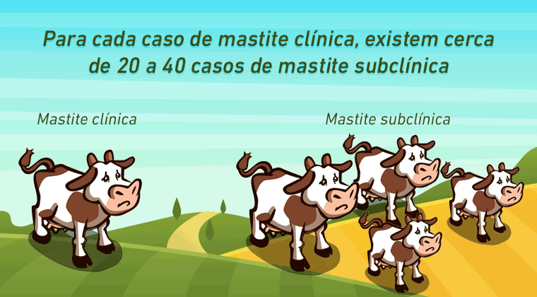 Mastite e suas implicações econômicas na pecuária leiteira - IBS ...